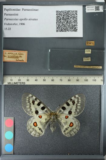 Media type: image;   Entomology 175434